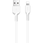 HOCO Cavetto X13 USB to Lightning da 1 Metro - Bianco